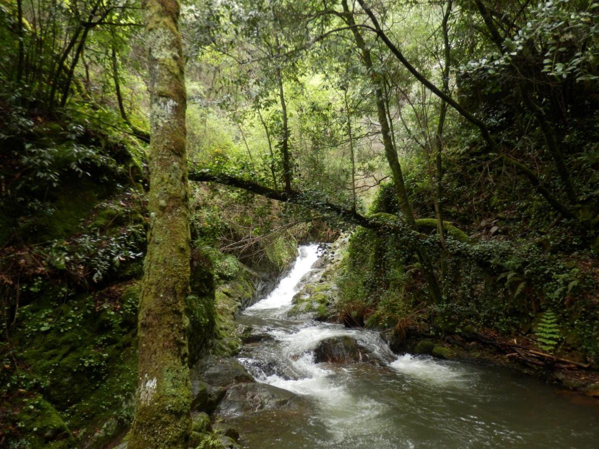 O Homem Verde Penela Kültér fotó